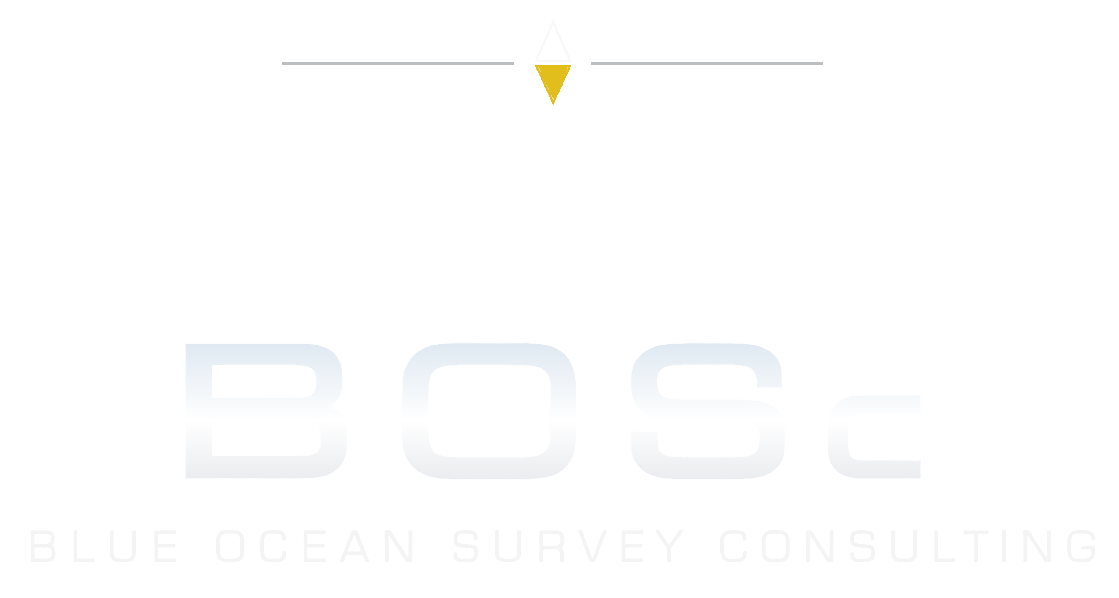 Animated Blue Ocean Survey Consulting logo