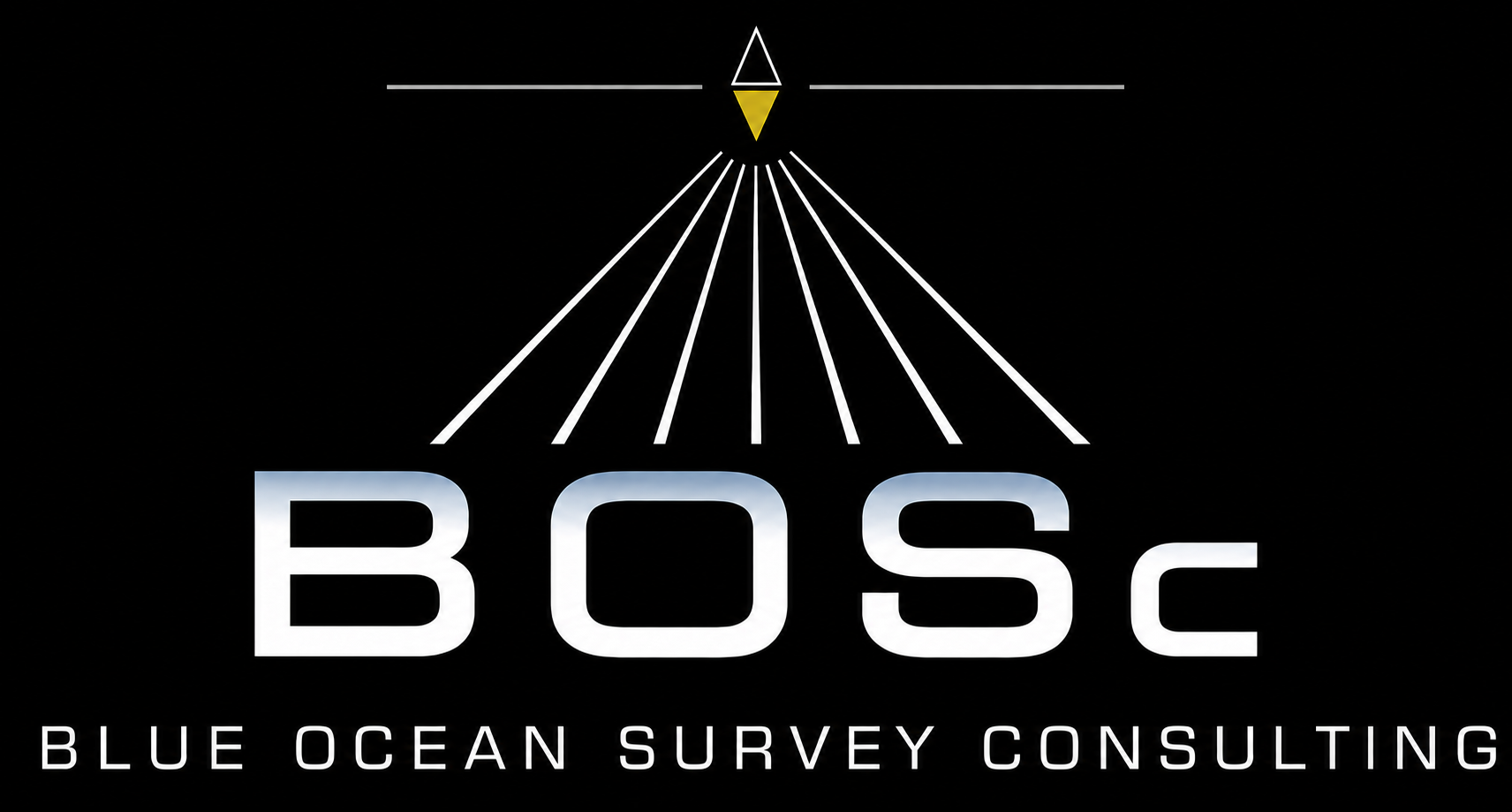 Blue Ocean Survey Consulting